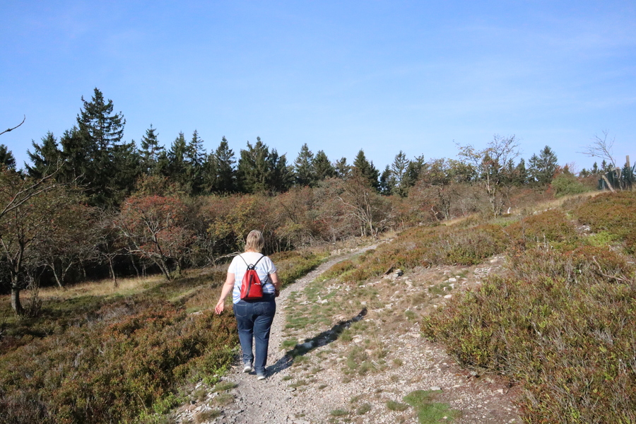 am Kleinen Feldberg